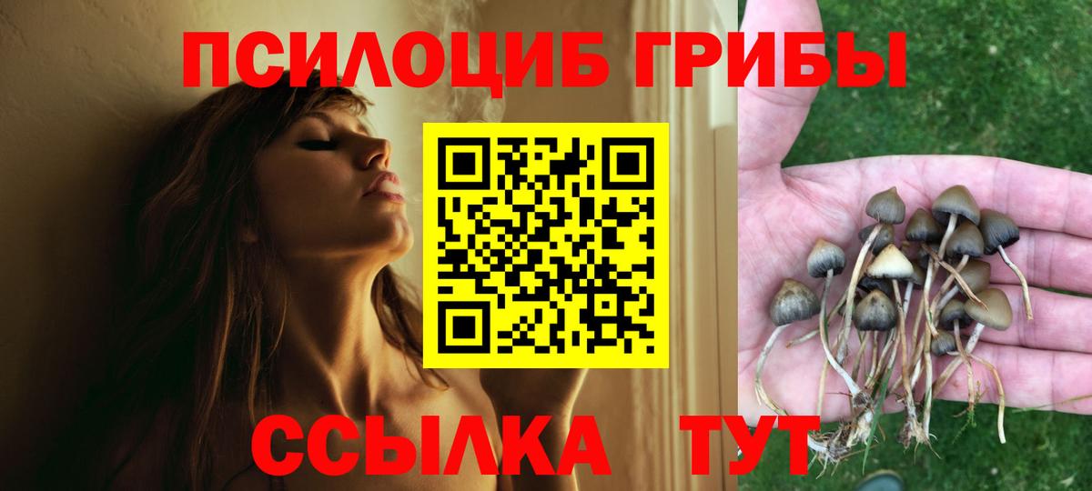 Галлюциногенные грибы MAGIC MUSHROOMS Сафоново